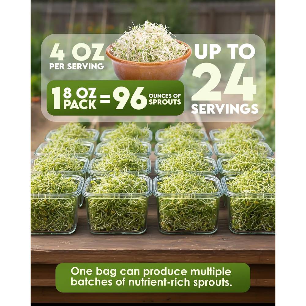 Food to Live Broccoli Sprouting Seeds 454g