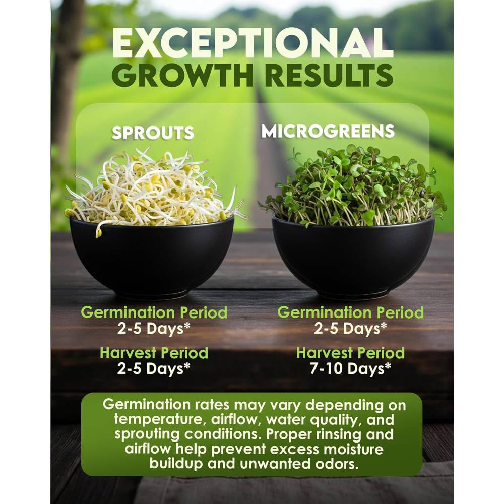 Food to Live Broccoli Sprouting Seeds 454g