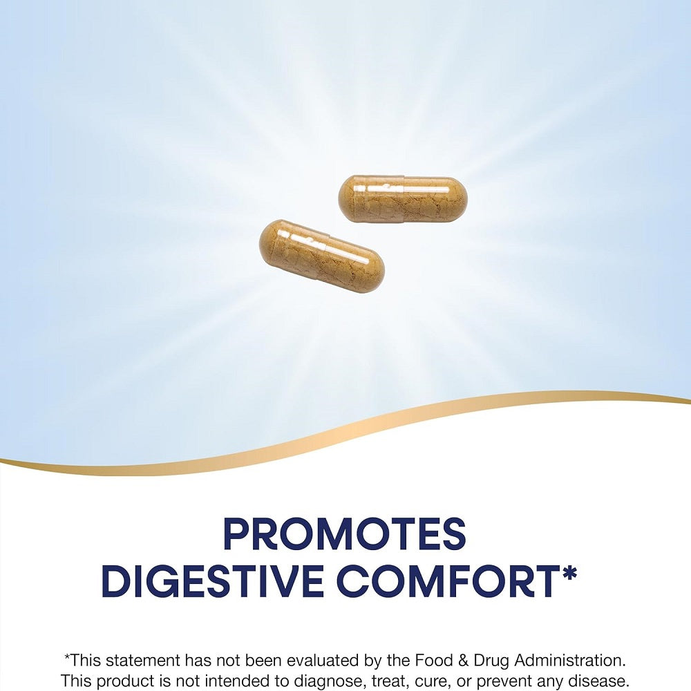 Nature's Way Ginger Root 550mg 240 Capsules 