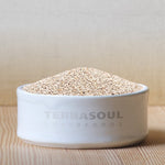 بذور الشيا البيضاء العضوية 454 جرام - Terrasoul Superfoods Organic White Chia Seeds 454 Gm