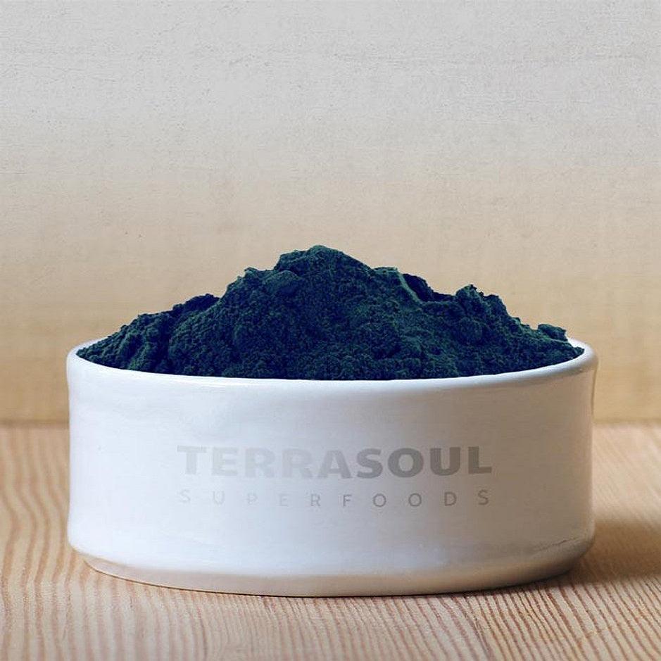 كلوريلا عضوية باودر 170 جرام - Terrasoul Superfoods Organic Chlorella Powder 170 gm