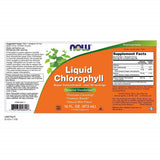 كلوروفيل السائل الشراب 473 مل - Now Foods, Liquid Chlorophyll 473 ml